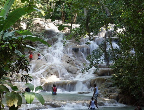 JamXTravel has the best travel experiences in Jamaica